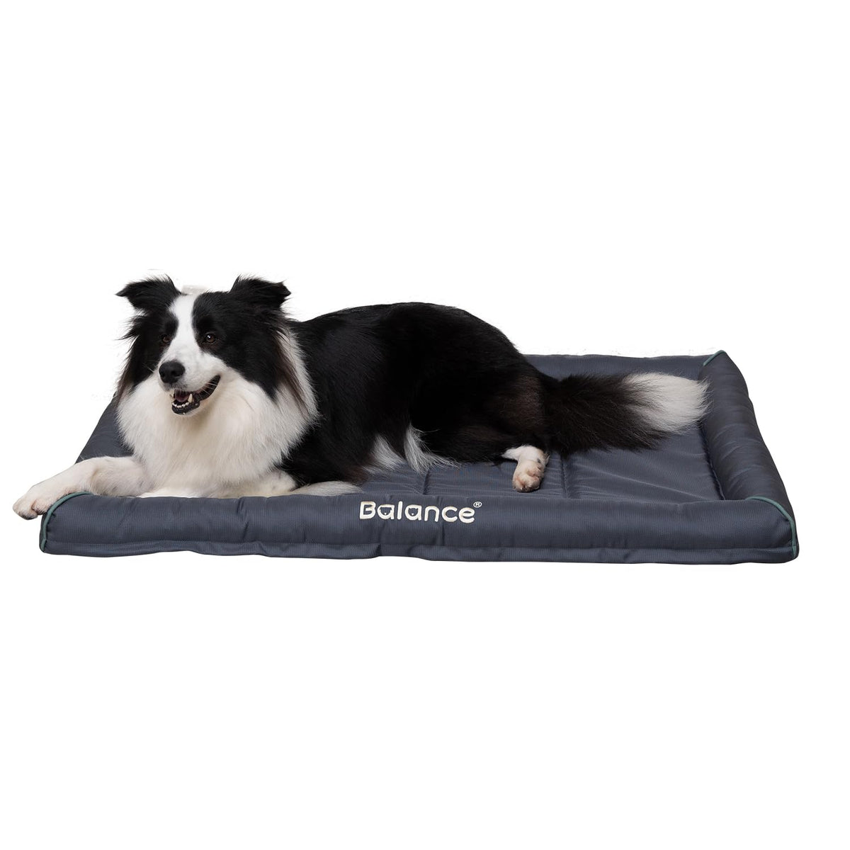 BALANCE Oxford dog bed top view with ample space for large dogs