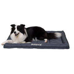 BALANCE Oxford dog bed top view with ample space for large dogs