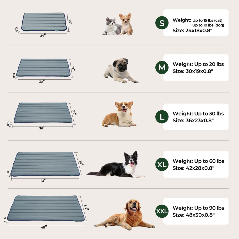 BALANCE portable design simplifies cleaning and daily pet care.