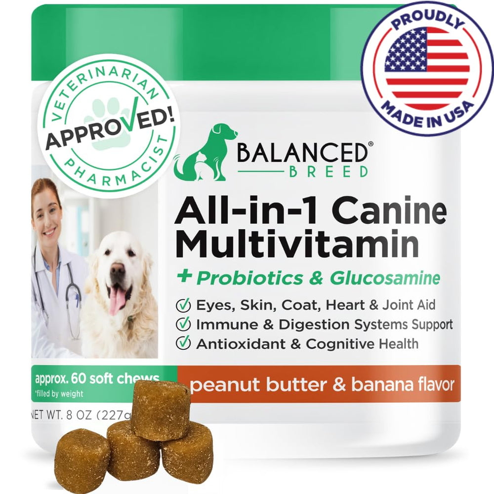 Balanced Breed all-in-1 dog vitamins bottle for daily wellness support
