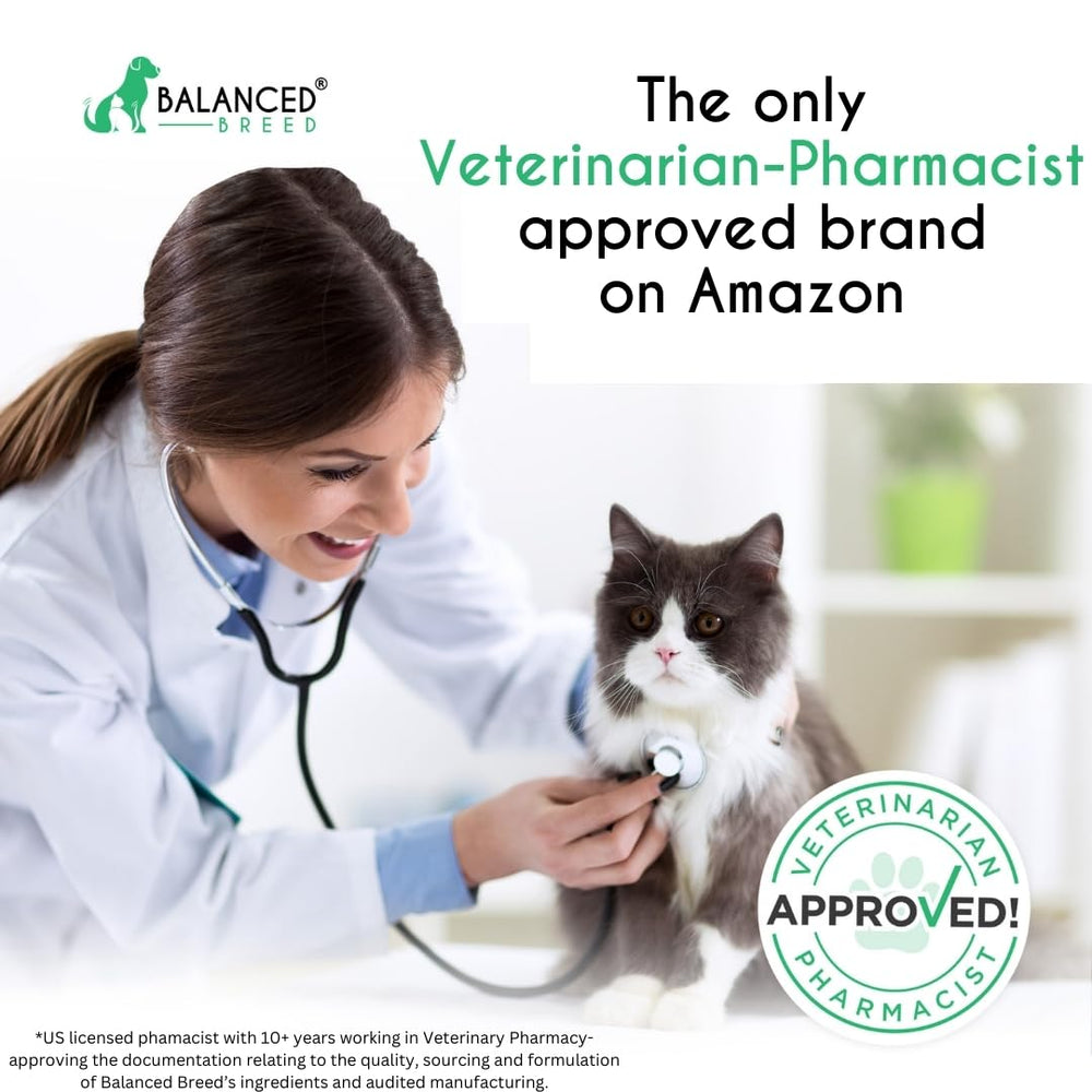 Balanced Breed Cat Respiratory Support chews for breathing and nasal comfort.