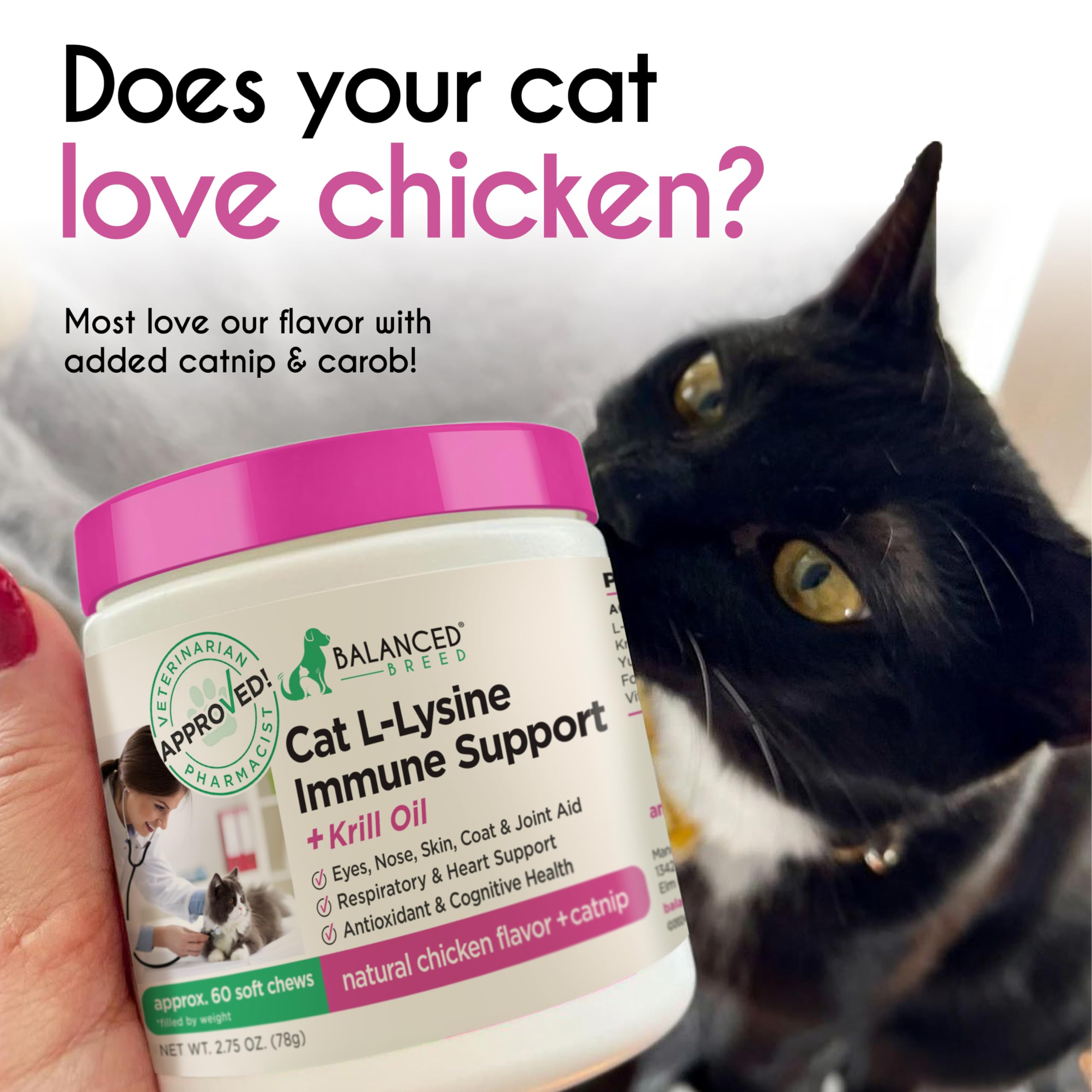 Balanced Breed Immune Multivitamin Cat Chews supporting overall wellness.