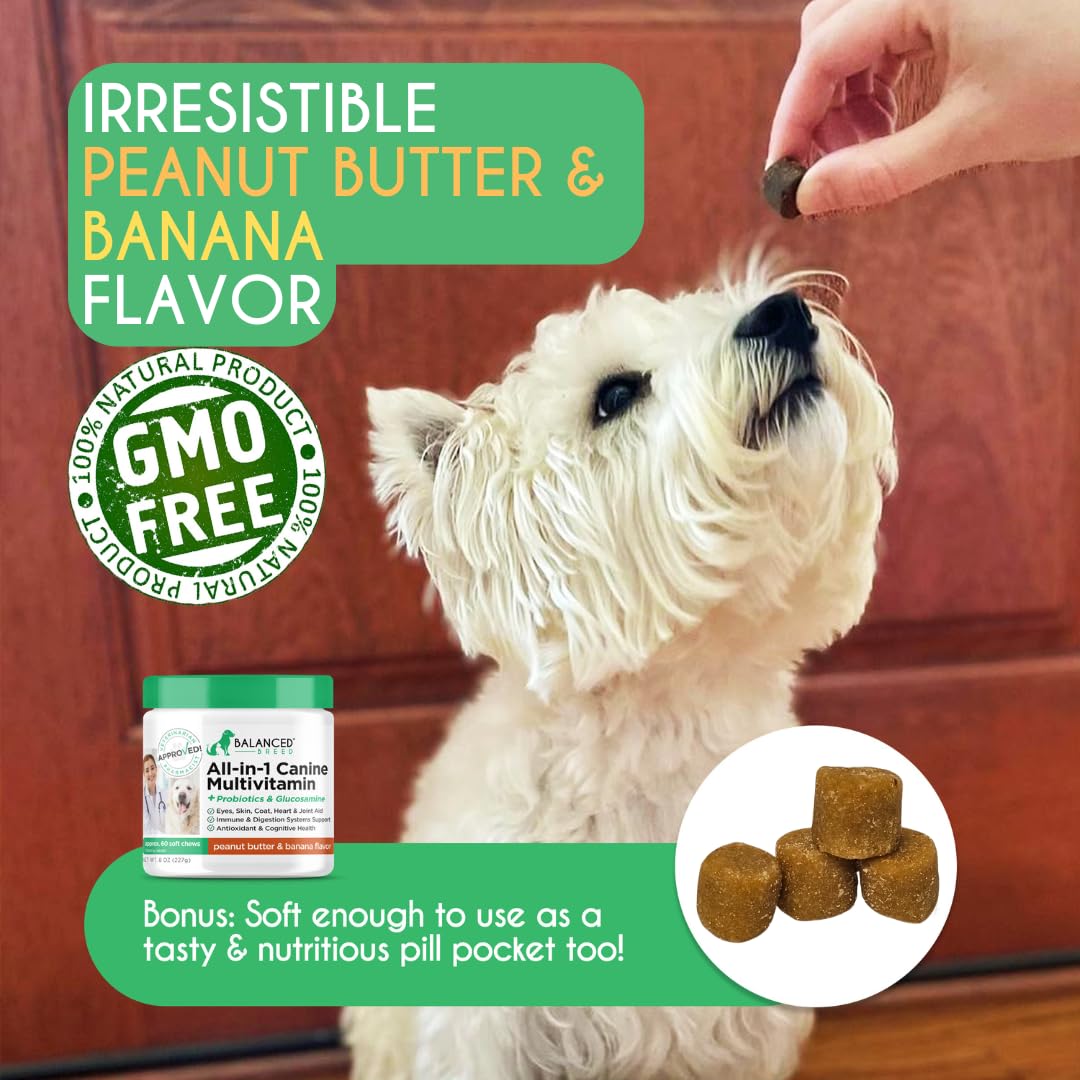 Balanced Breed probiotics capsules support gut health and daily vitality
