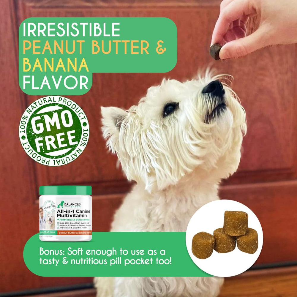 Balanced Breed probiotics capsules support gut health and daily vitality
