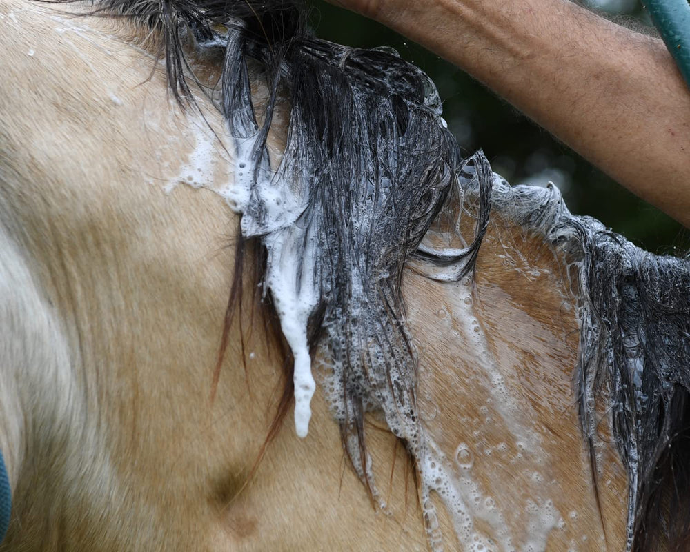 Coat after wash with marine collagen for hydration and shine.