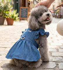Baobicute denim dress with leash-ring back enables secure outdoor control.