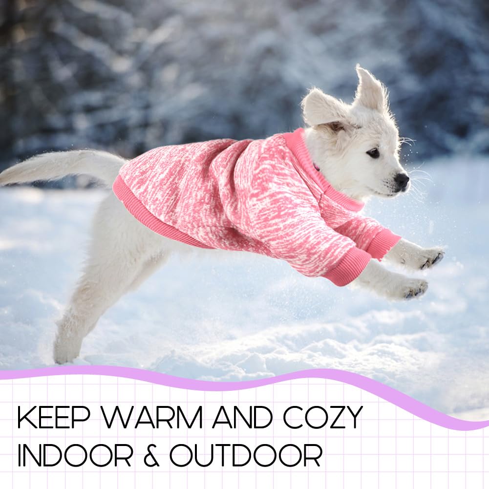 BAOBICUTE worn-on-dog image conveys warmth during daily walks