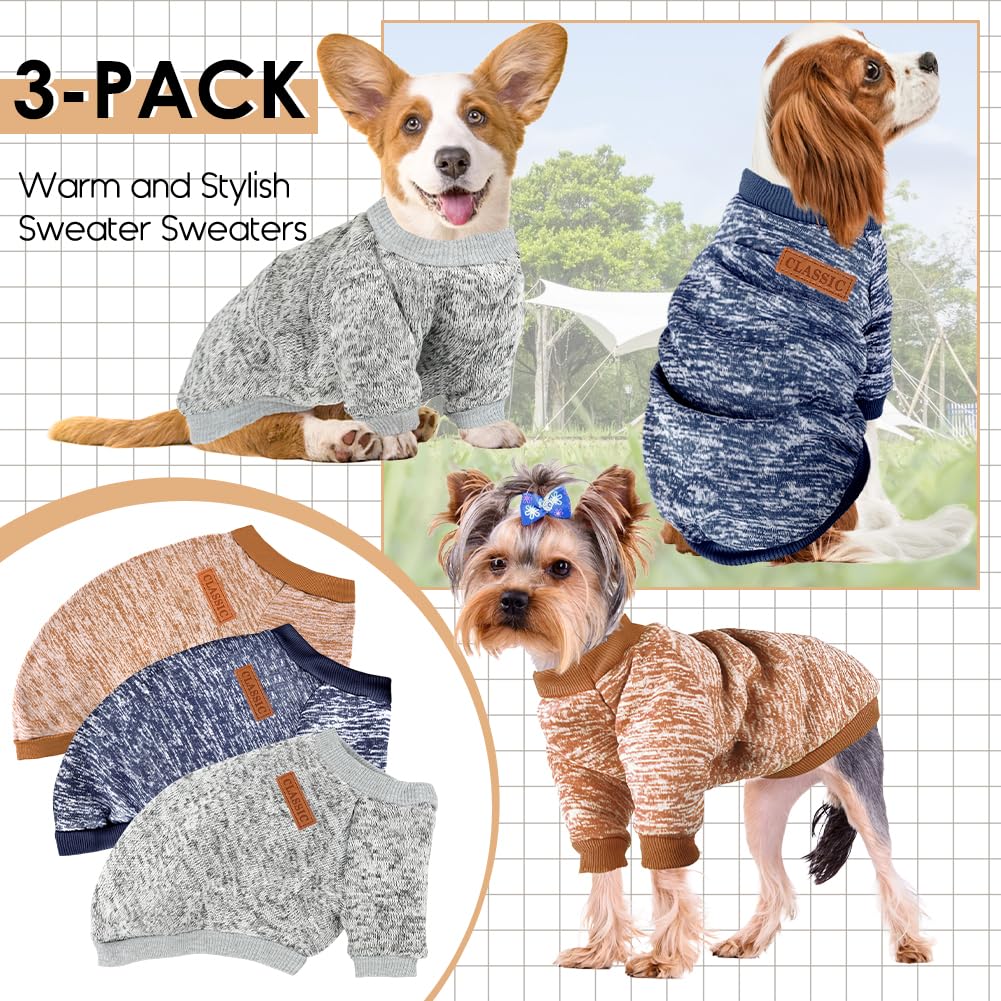 Baobicute dogs walking in sweaters on a chilly day
