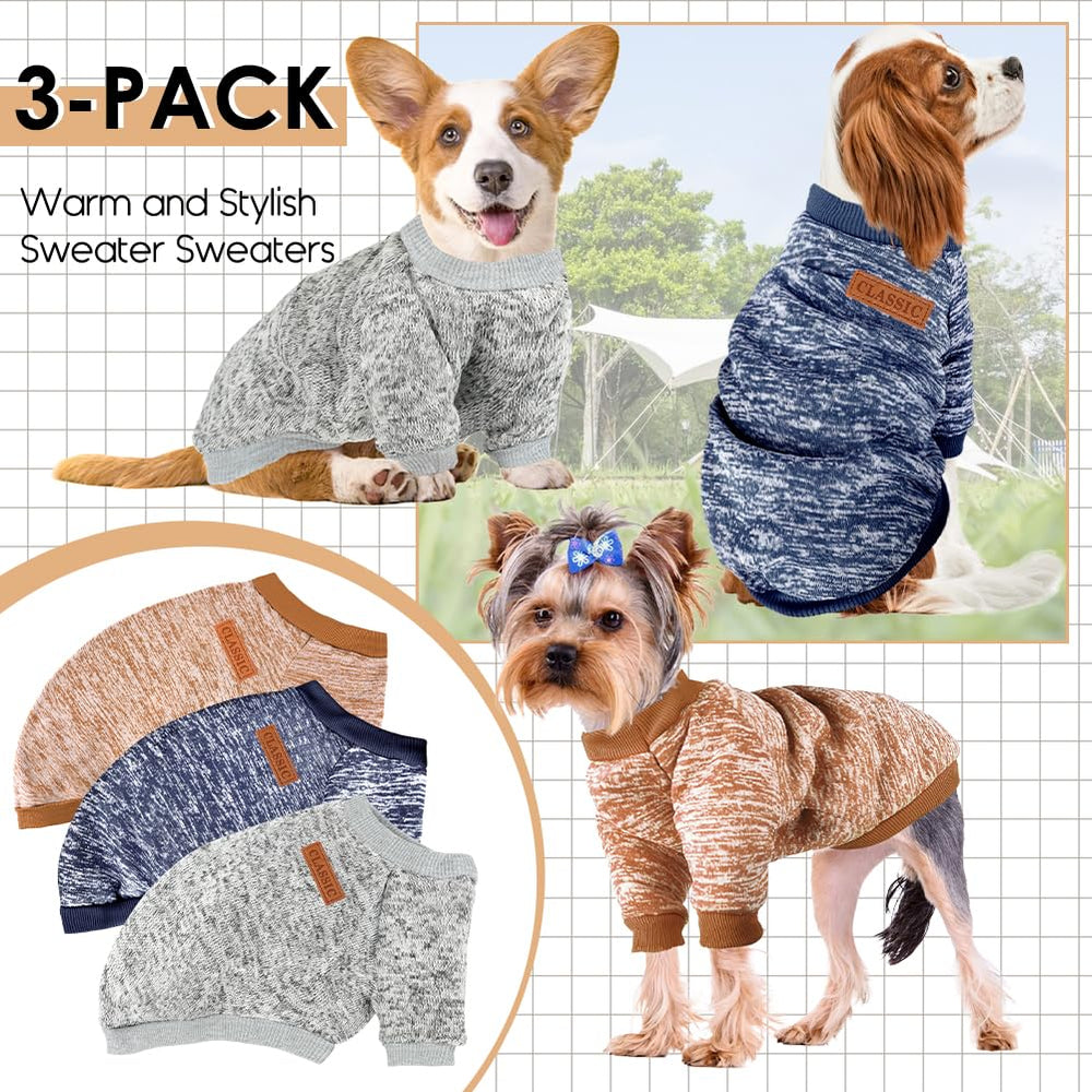 Baobicute dogs walking in sweaters on a chilly day
