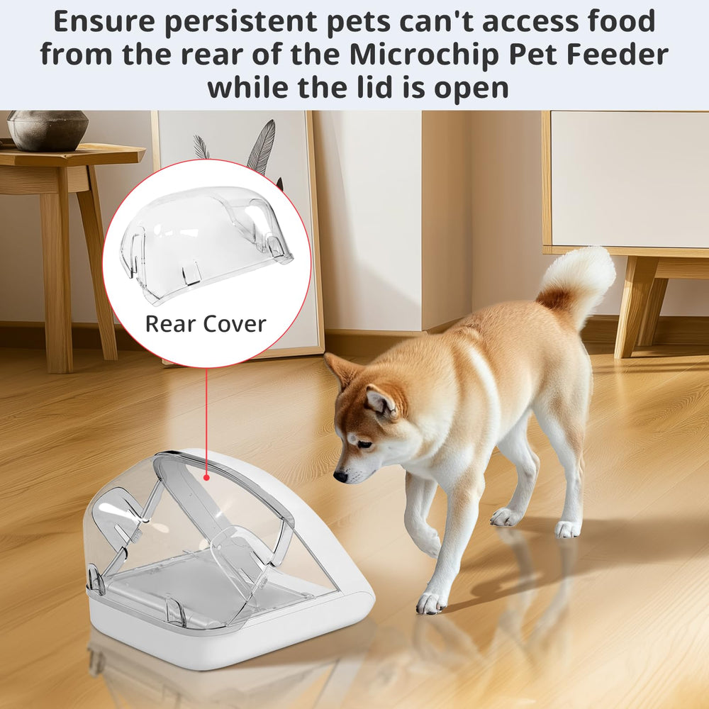 Baofum rear cover ships with 12-month warranty and support