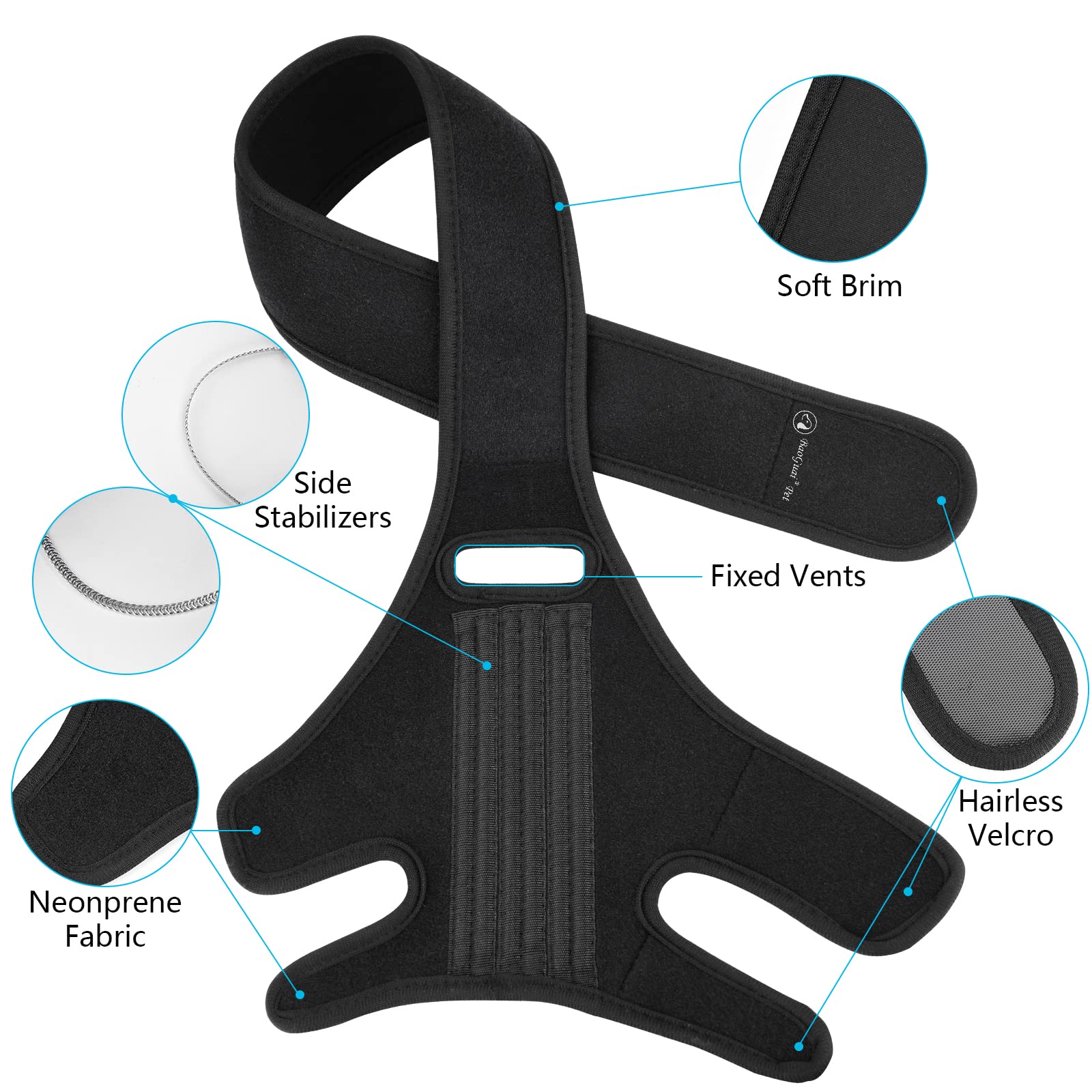 BaoGuai knee brace on a dog during an outdoor walk