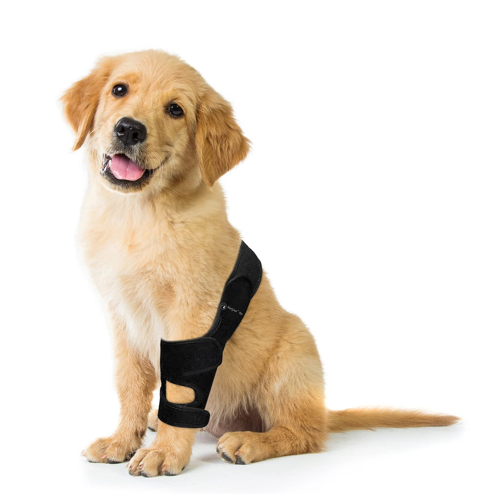 BaoGuai knee brace used in a gentle recovery routine