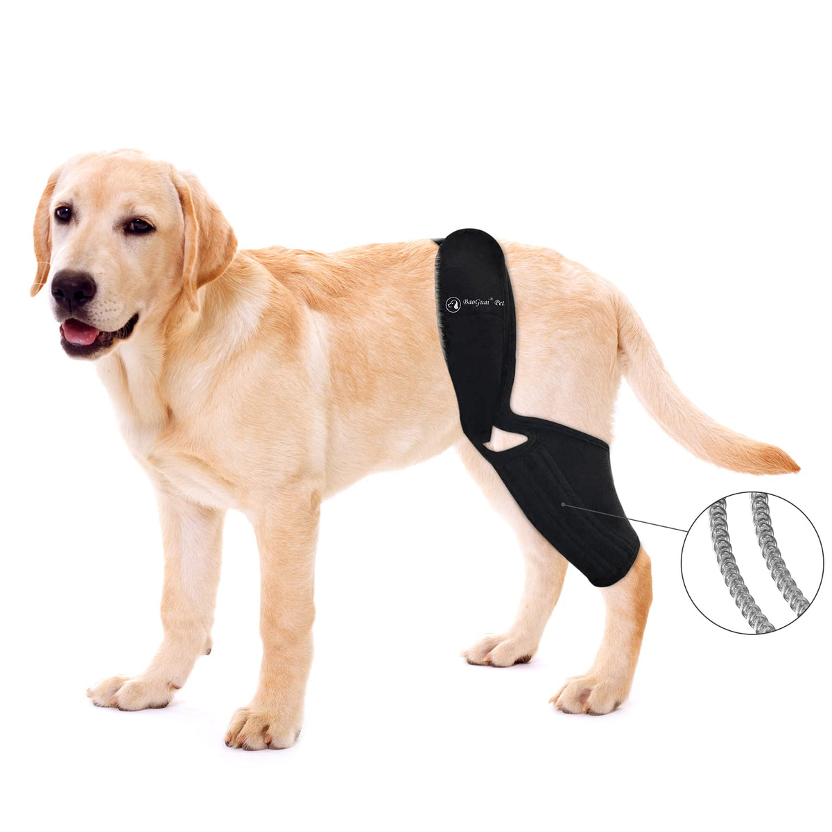 BaoGuai knee brace with side stabilizers supporting a dog's knee during a walk