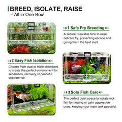 BaoZqua hatching nursery lowers fry stress in a safe space