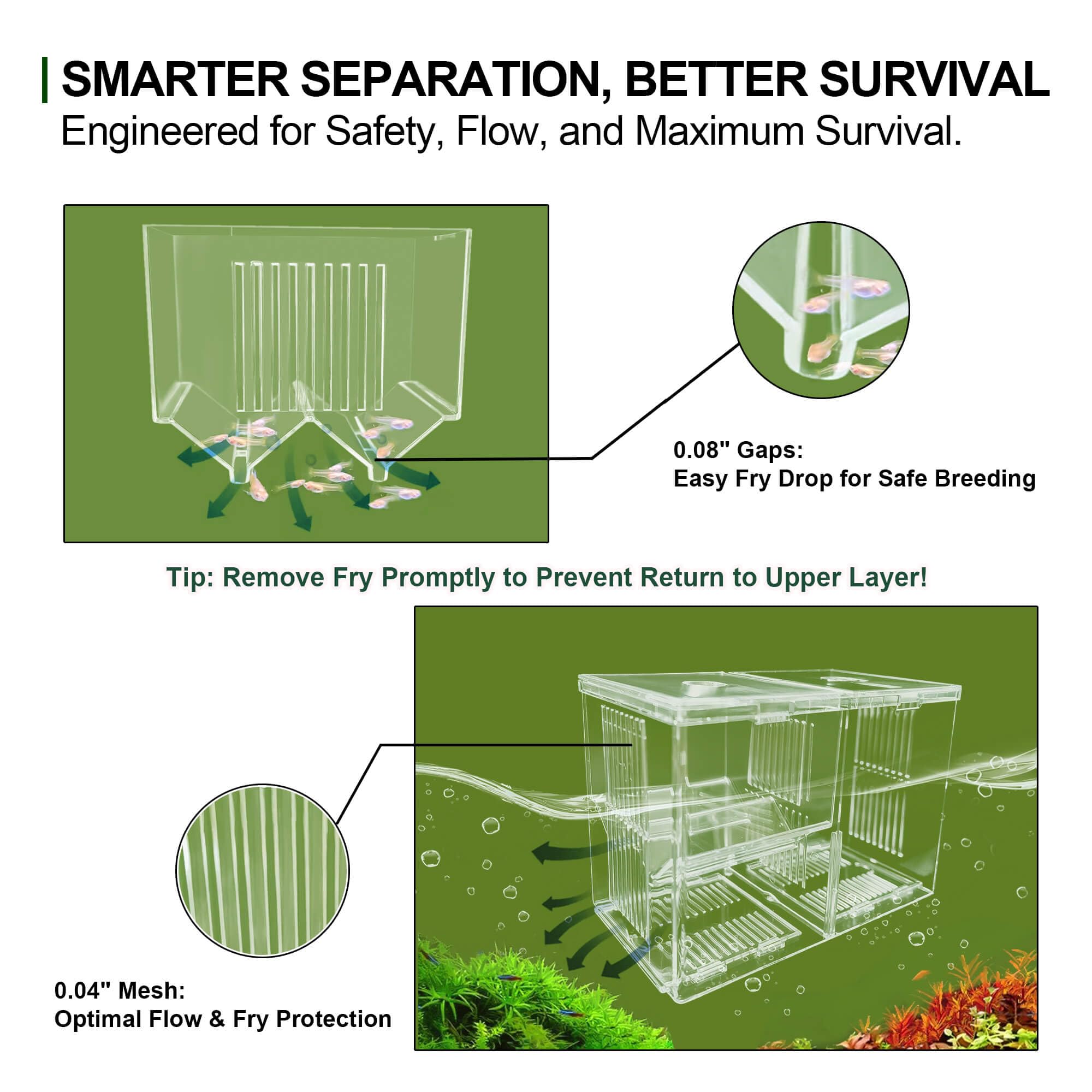 BaoZqua upper chamber provides calm birthing space for pregnant fish