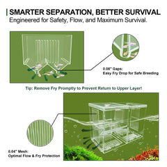 BaoZqua upper chamber provides calm birthing space for pregnant fish