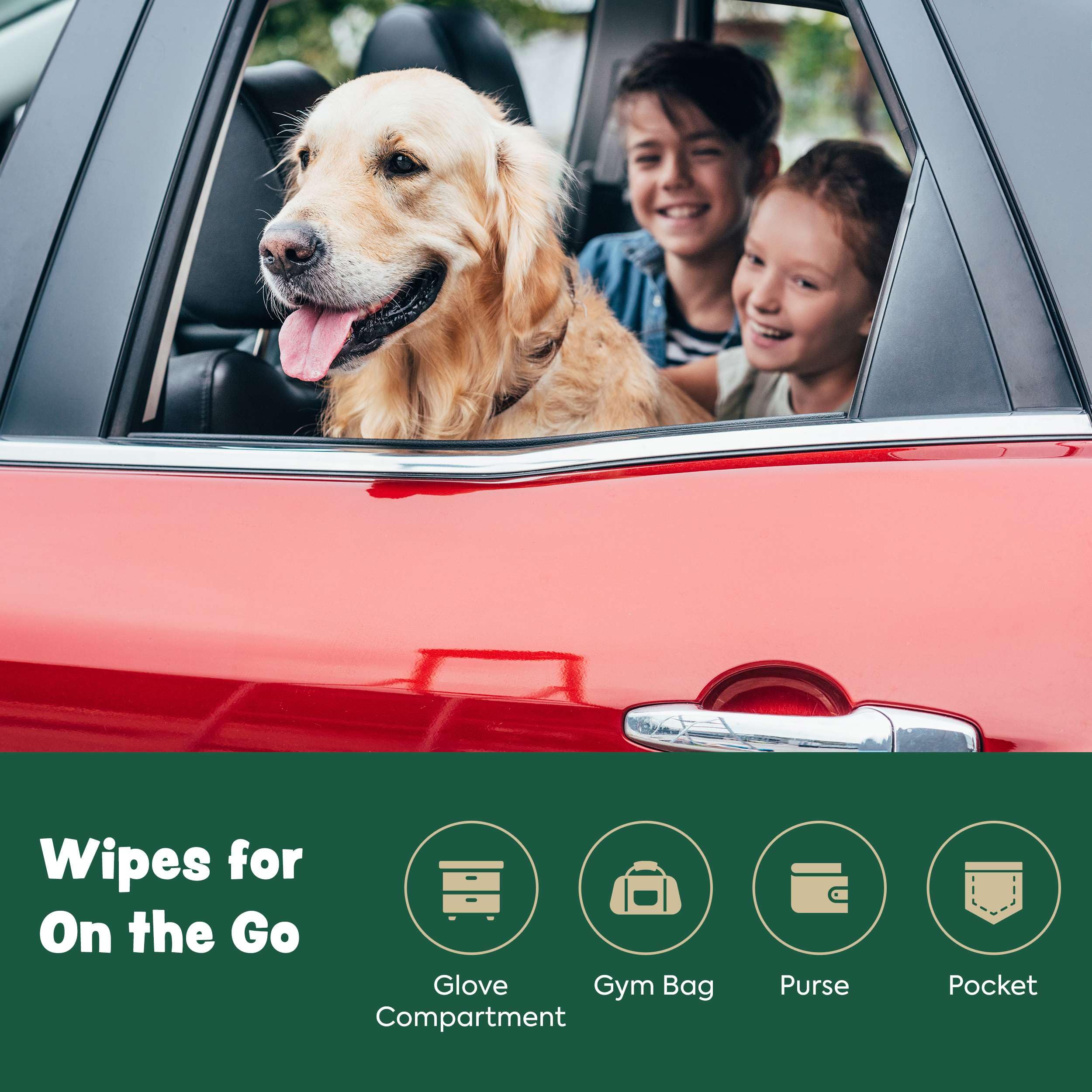 Compostable symbol indicating eco-conscious Bark & Clean wipes.