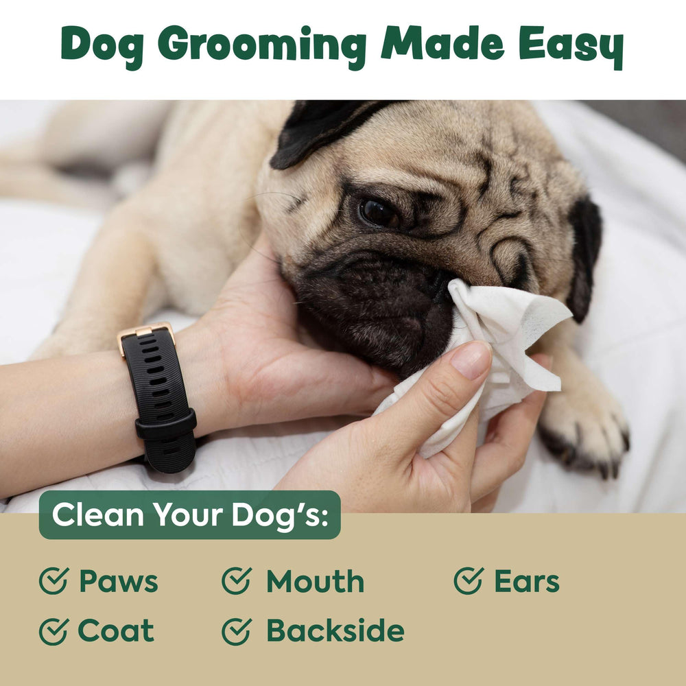 Paws cleaning with Bark & Clean wipes after outdoor activity.