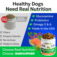 BARK&SPARK digestive enzyme chews visible, signaling digestive comfort
