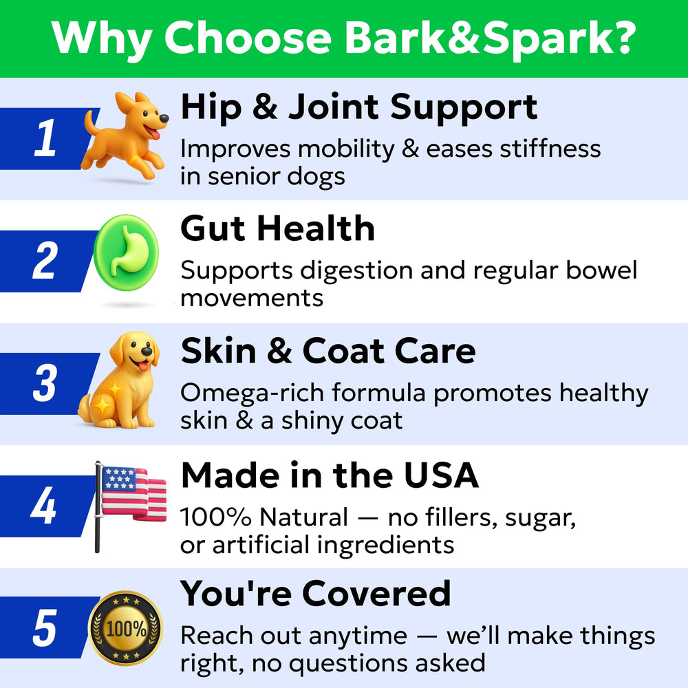 BARK&SPARK glucosamine-chondroitin chews focused on joints and cartilage