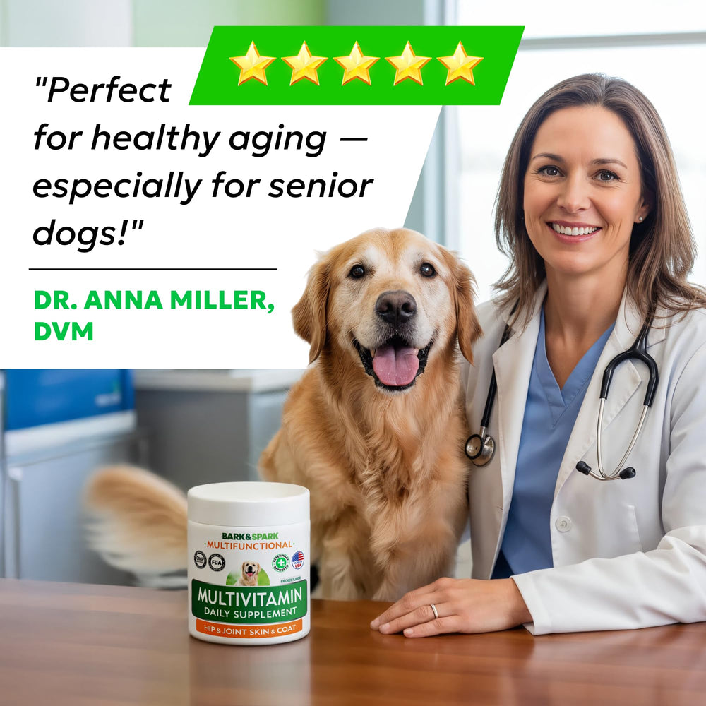 BARK&SPARK probiotic chews shown, supporting gut balance for dogs