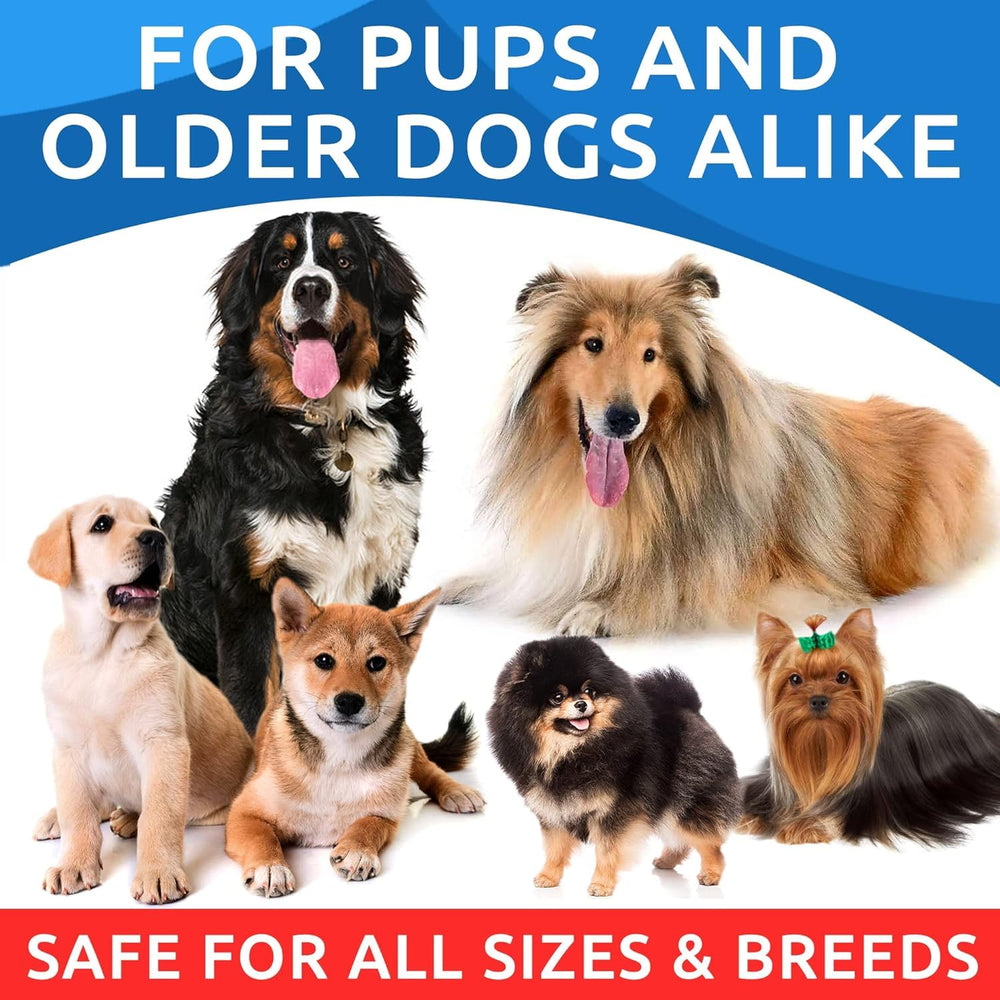 BARK&SPARK Omega3 picky-eater friendly flavor entices dogs at mealtime