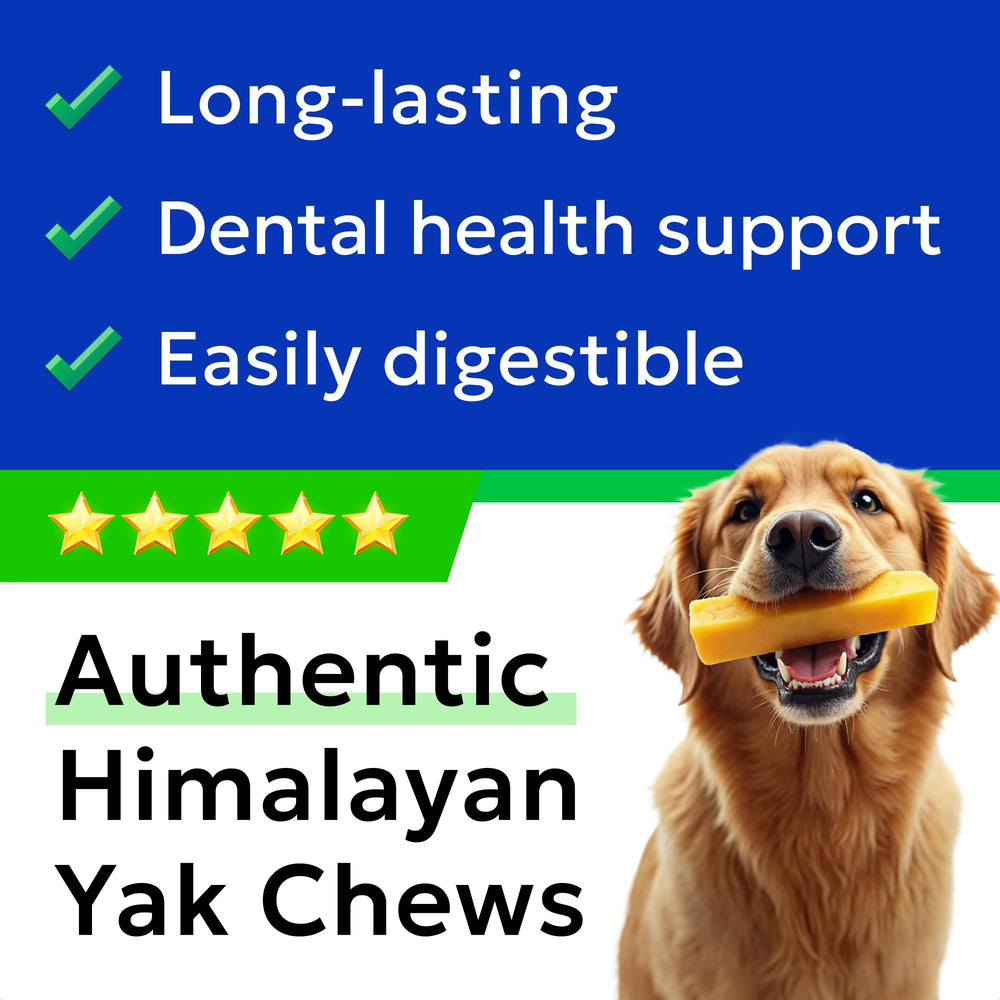 BARK&SPARK Yak Cheese Himalayan chews in use, dog enjoys chewing.
