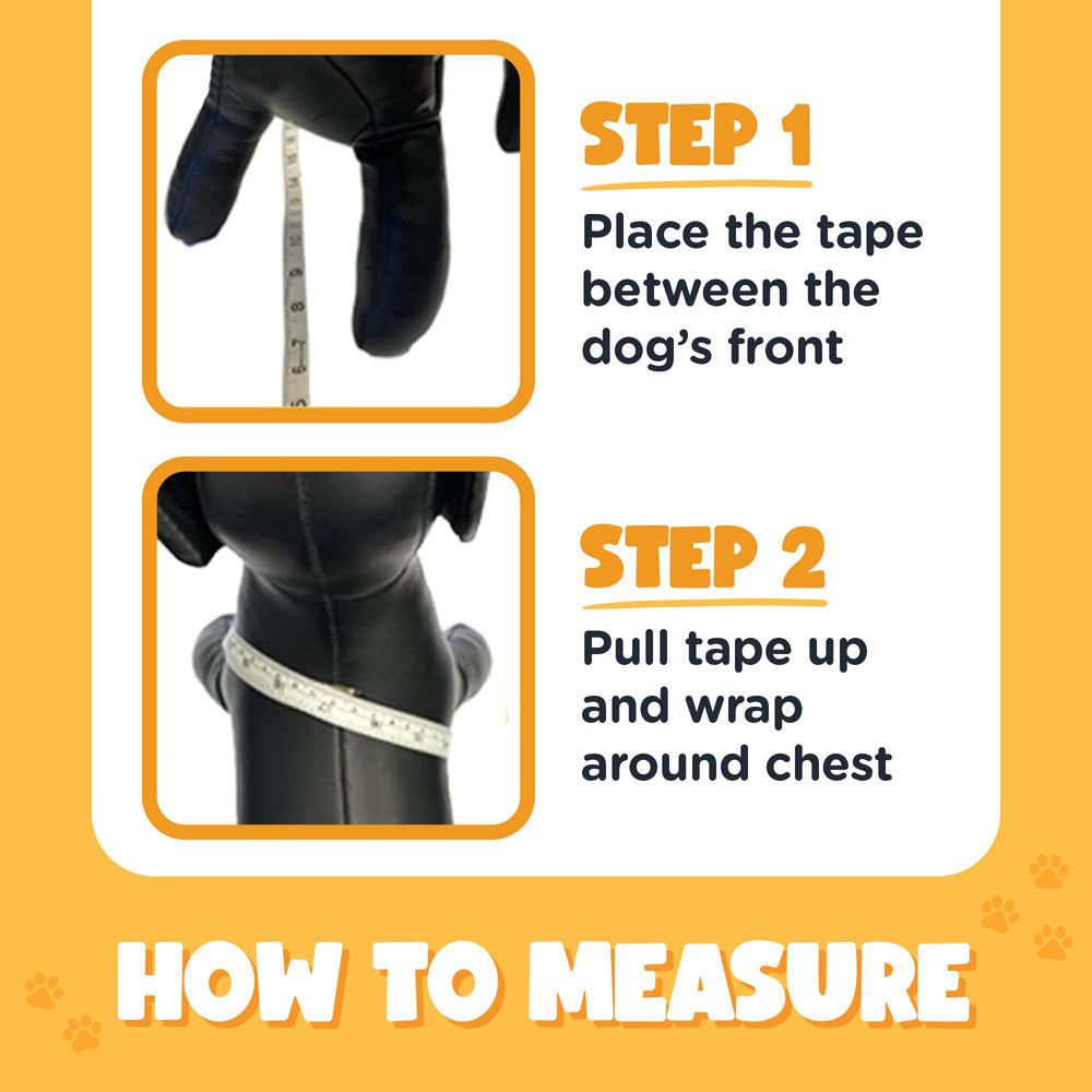 Bark Appeal harness buckle and clip provide a secure, durable walking option
