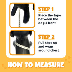 Bark Appeal harness buckle and clip provide a secure, durable walking option