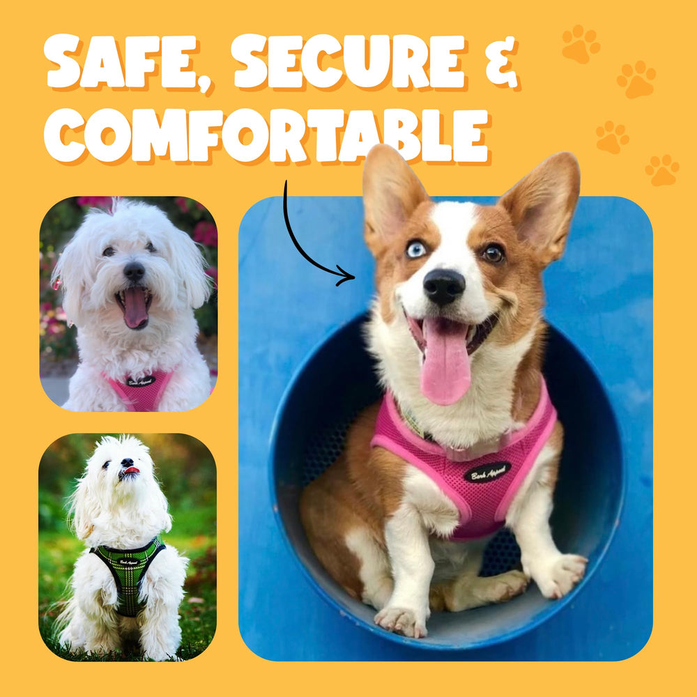 Bark Appeal harness features breathable mesh for all-day pet comfort