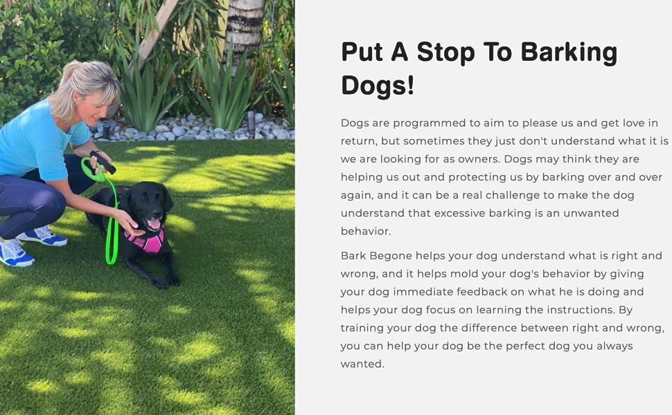 Bark Begone in-action with barking dog sample demonstrates quick interruption