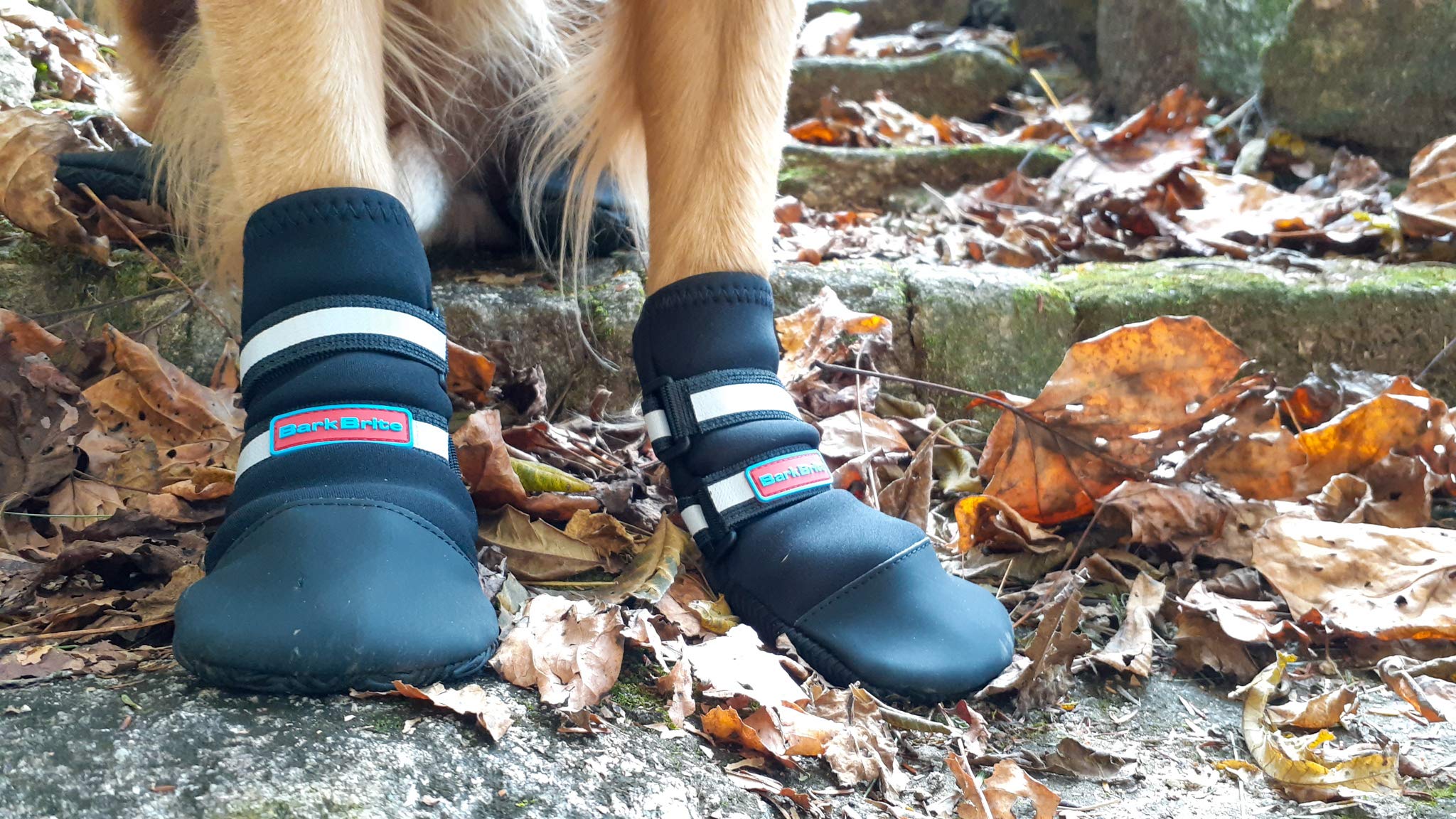 Bark Brite XXL size bootie image shows measurement for accurate fit