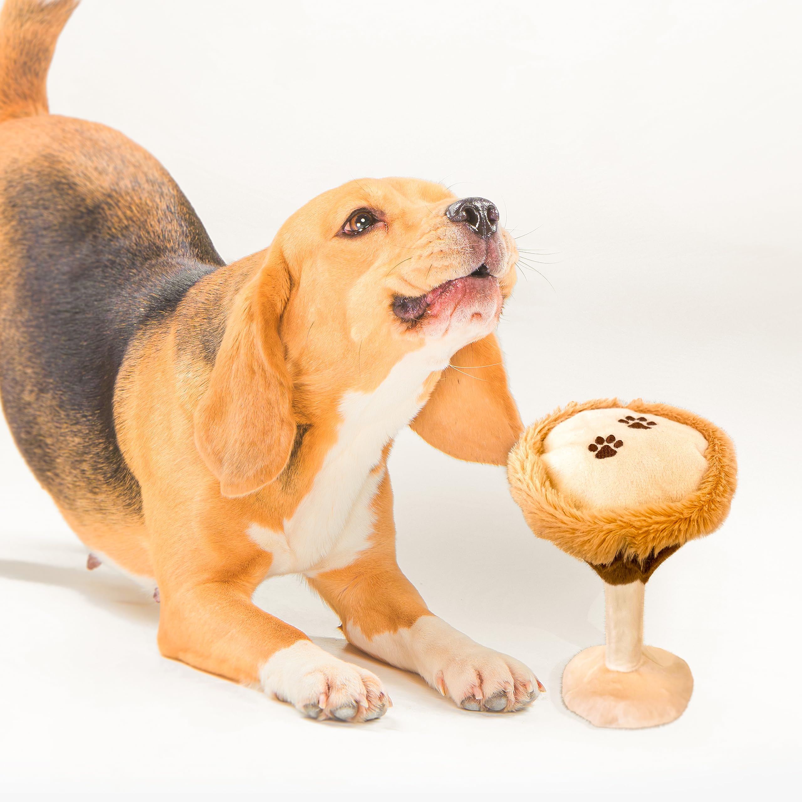 Bark Bros puppy birthday plush toy ideal for celebrations and gifts