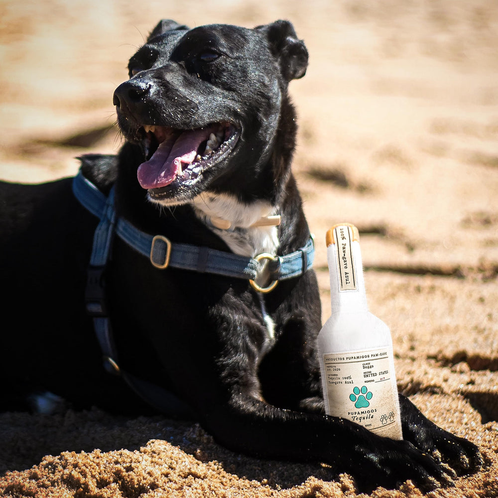 Bark Bros liquor bottle toy fits dogs of all sizes for fun.