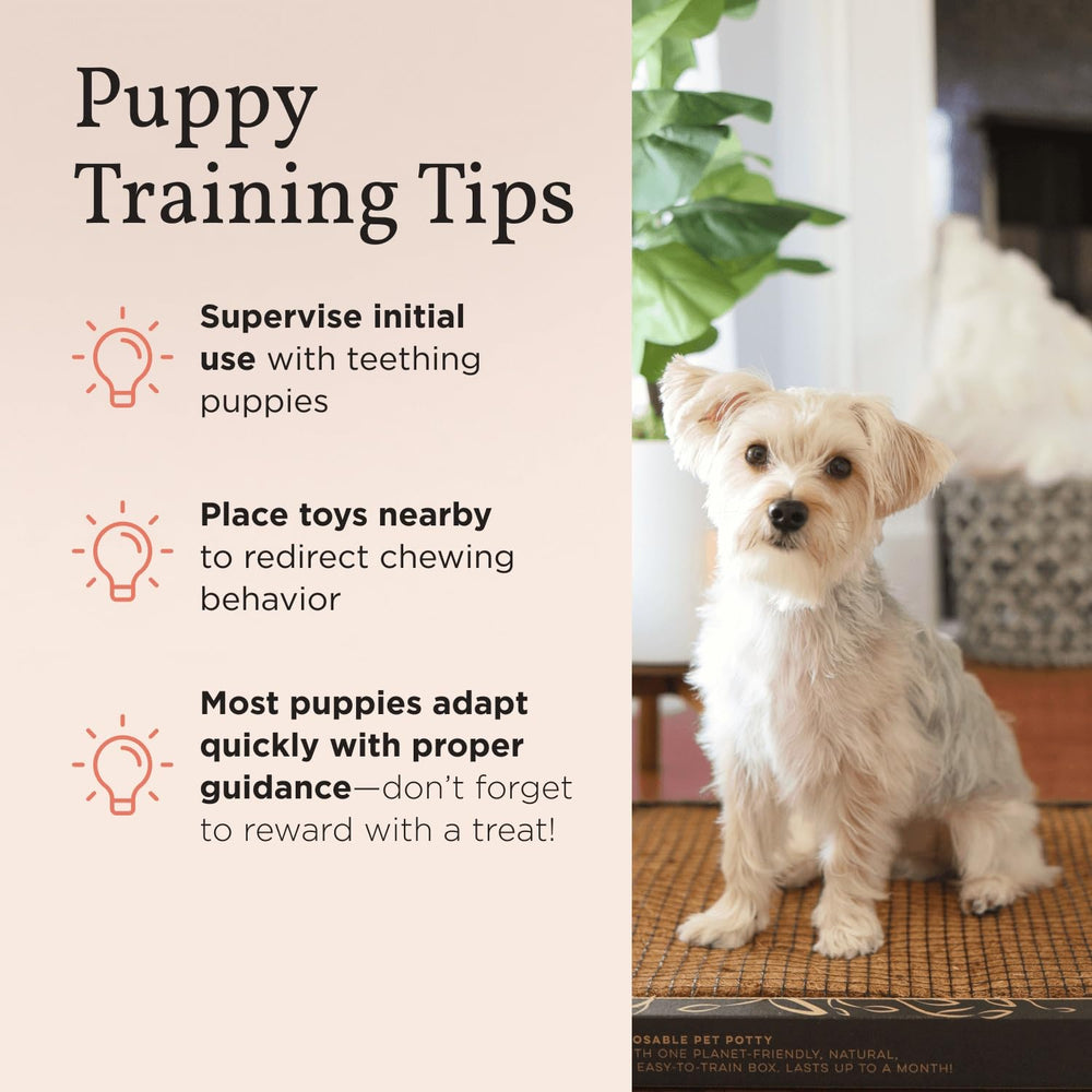 Bark Potty apartment-friendly design fits compact living spaces.