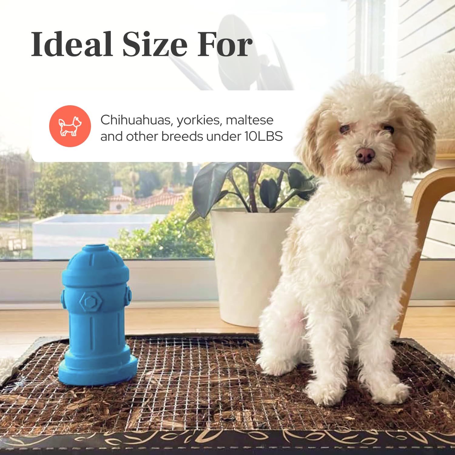 Bark Potty easy-clean-silicone surface for quick cleanup