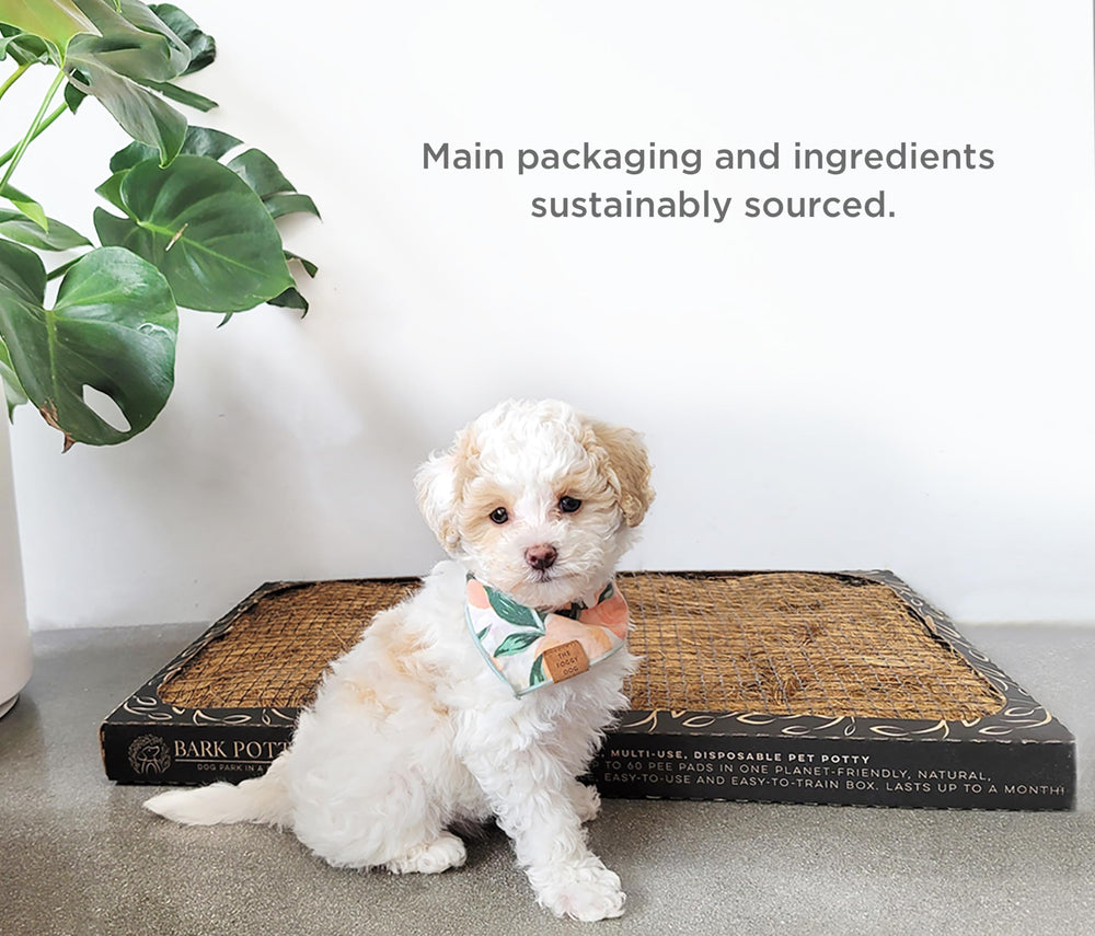 Bark Potty indoor-outdoor solution for apartments, travel, and cold weather.