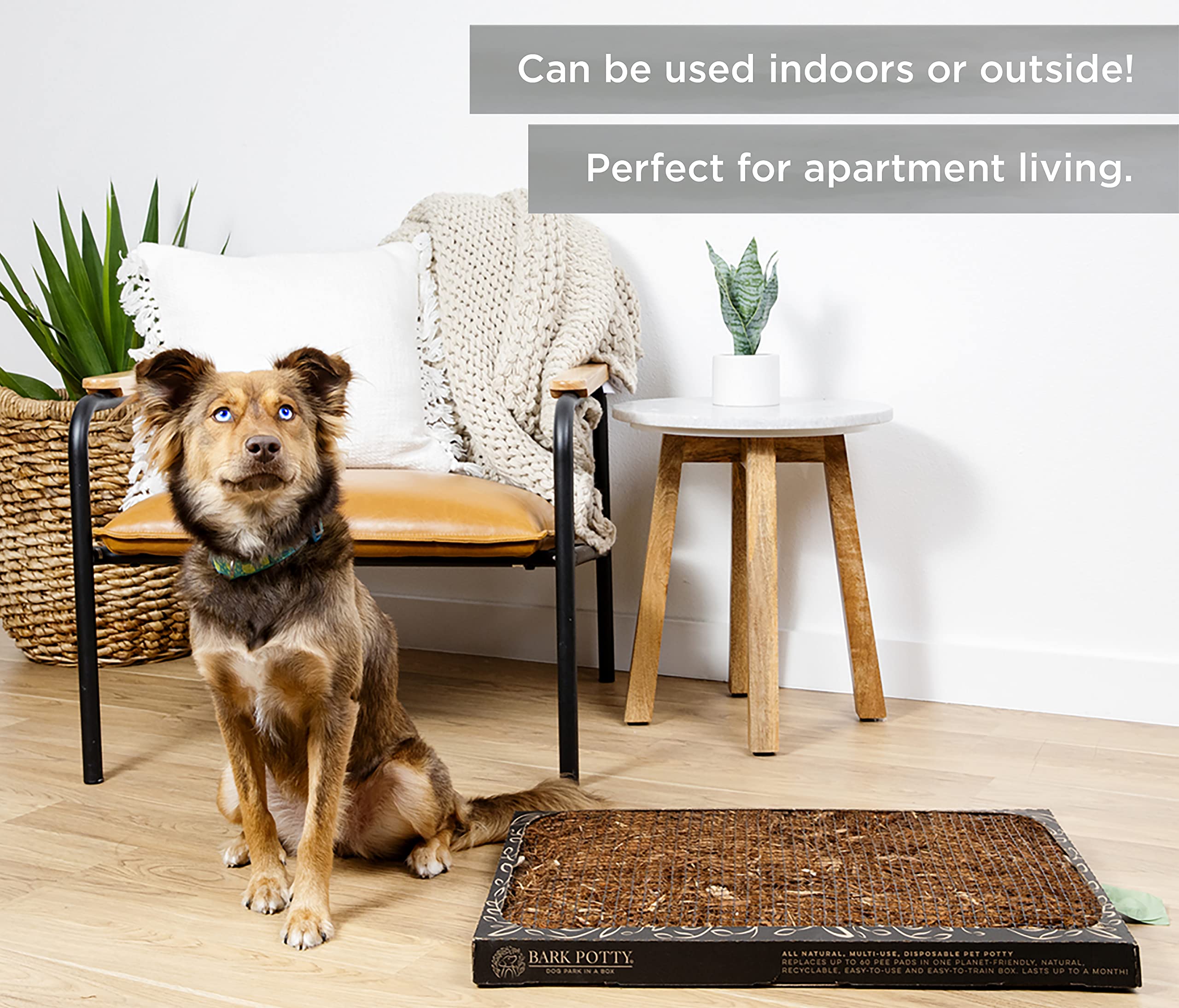 Bark Potty Large Pads Outdoor Setting showcases versatile setup for outdoor use