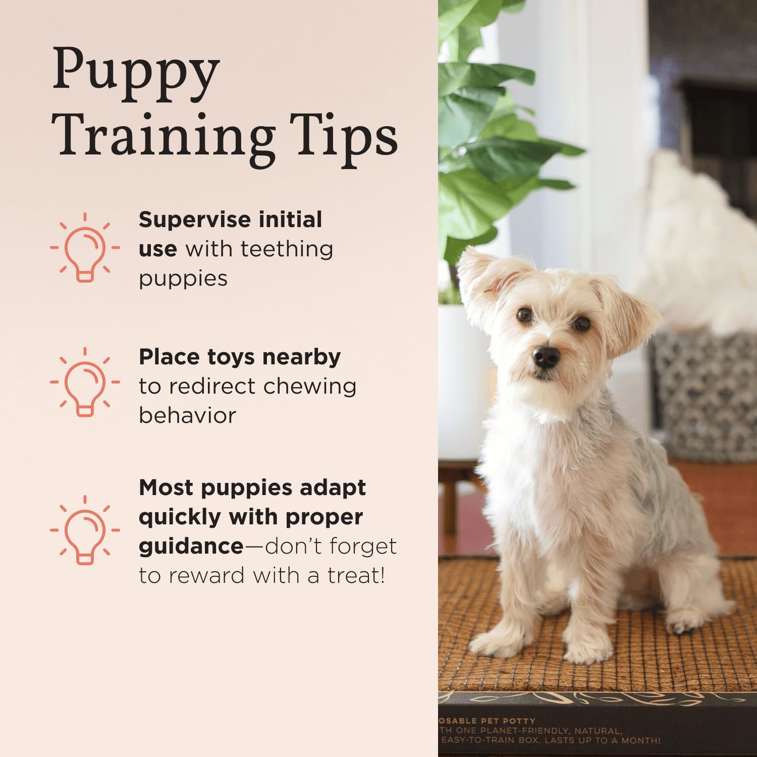 Bark Potty large-size-30x20 provides ample space for slightly bigger puppies.