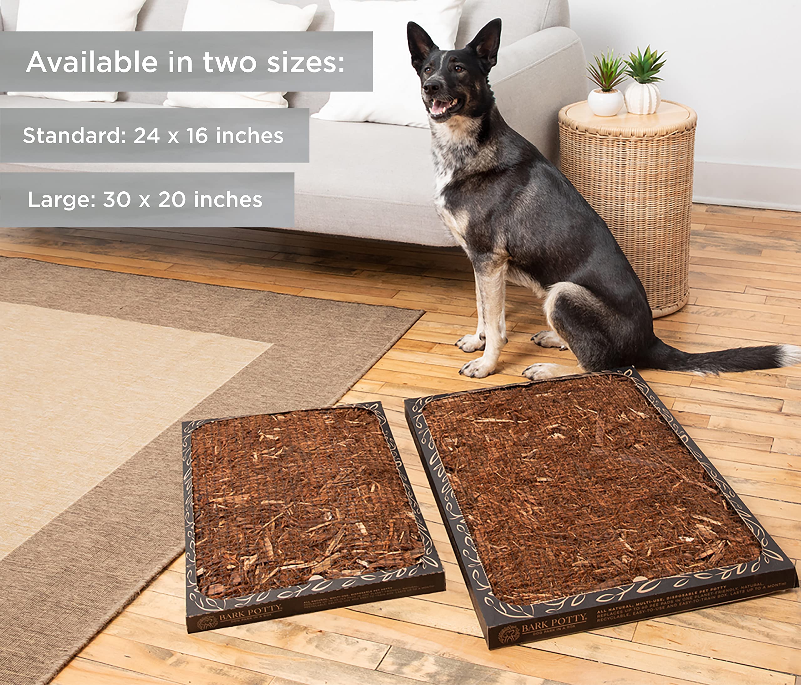 Bark Potty Large Tray Inside demonstrates leak-resistant design for indoor use
