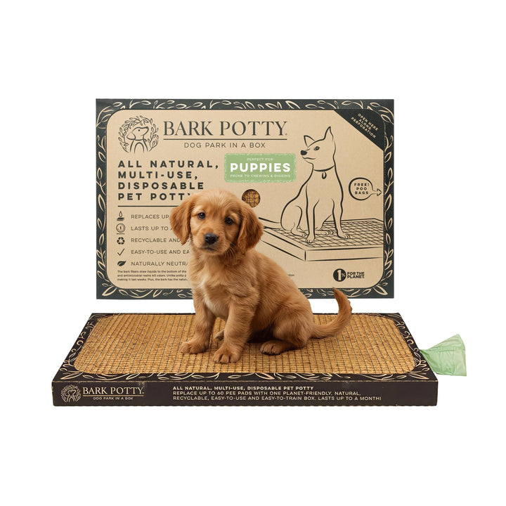 Bark Potty puppy potty setup for easy indoor training and space saving.