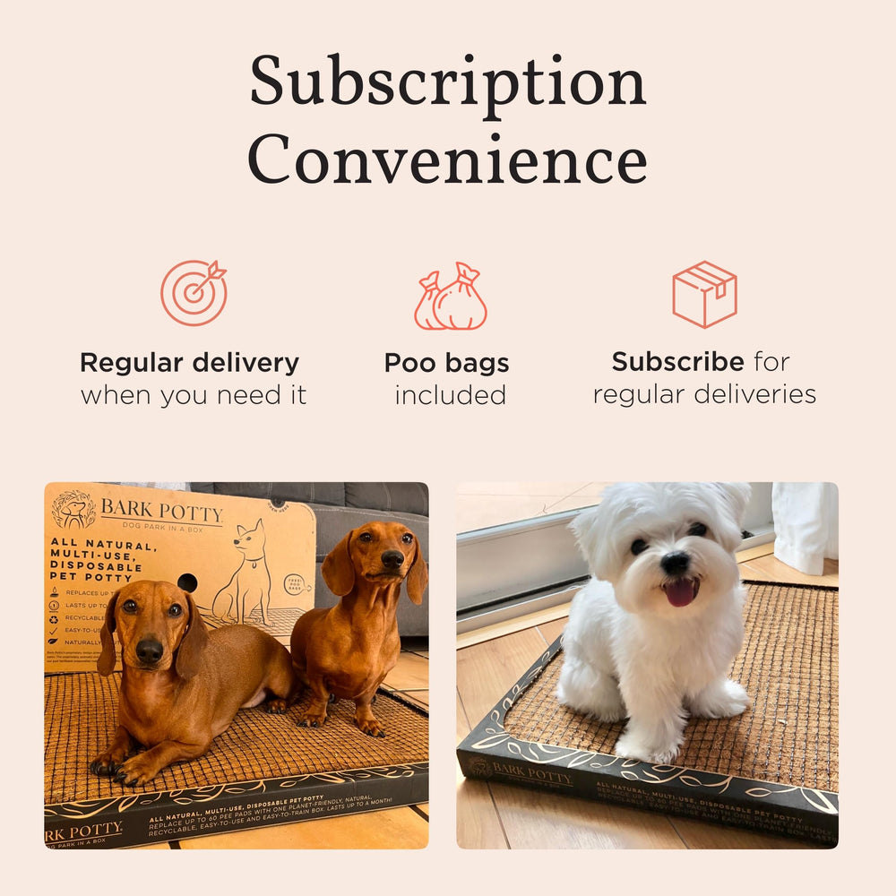 Bark Potty reusable indoor solution reduces disposable pad waste.