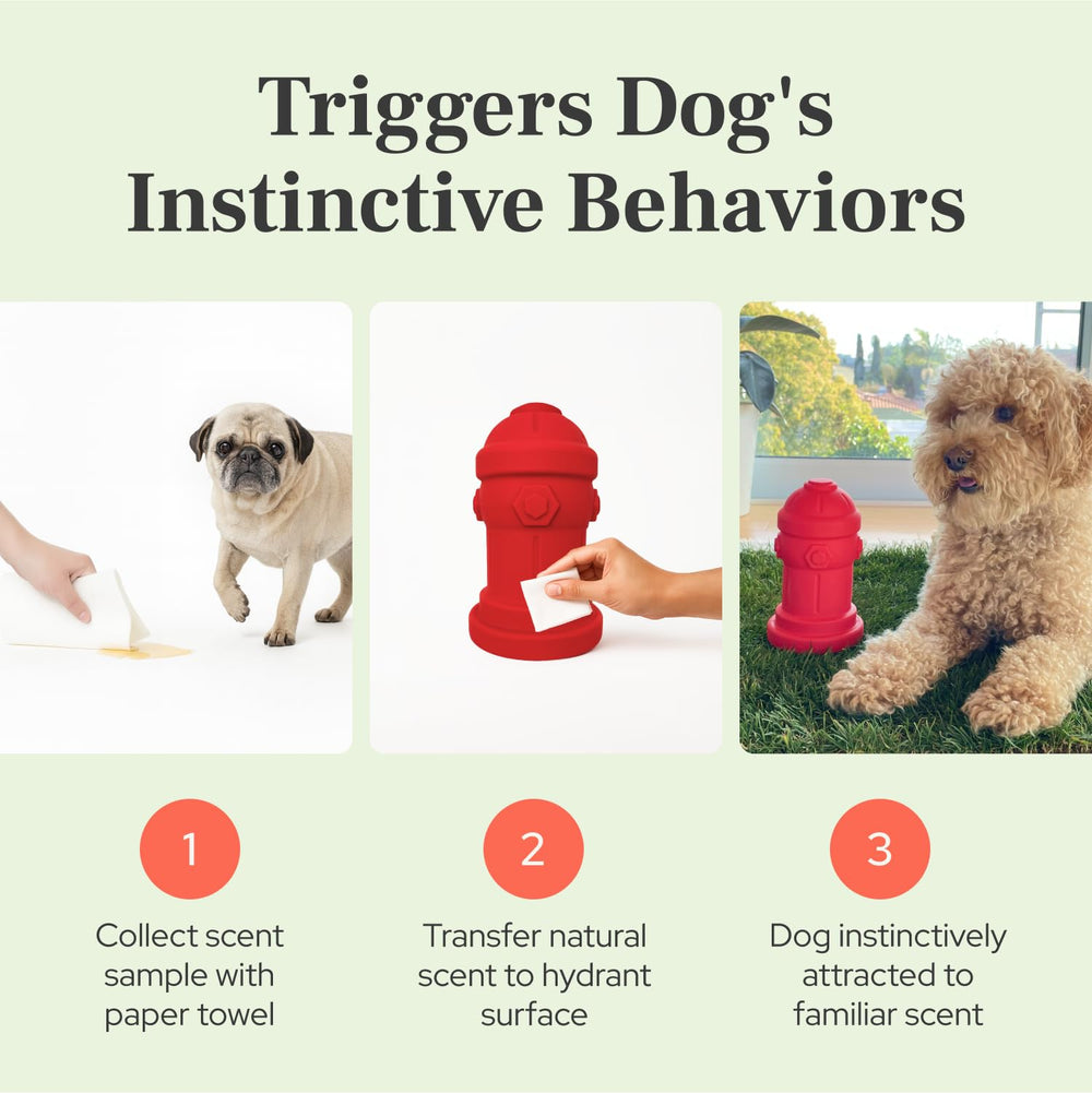Bark Potty scent-training-activation attracts tiny dogs during indoor sessions