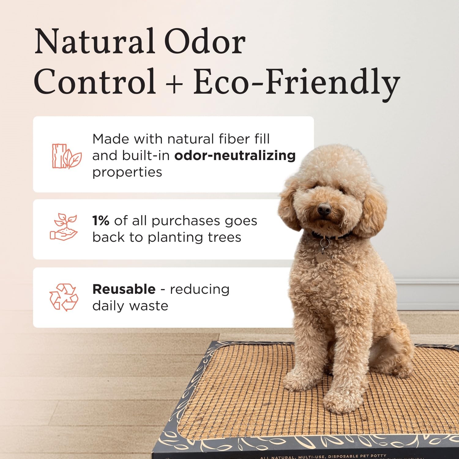 Bark Potty standard 24x16 for small dogs, ideal for apartment living.