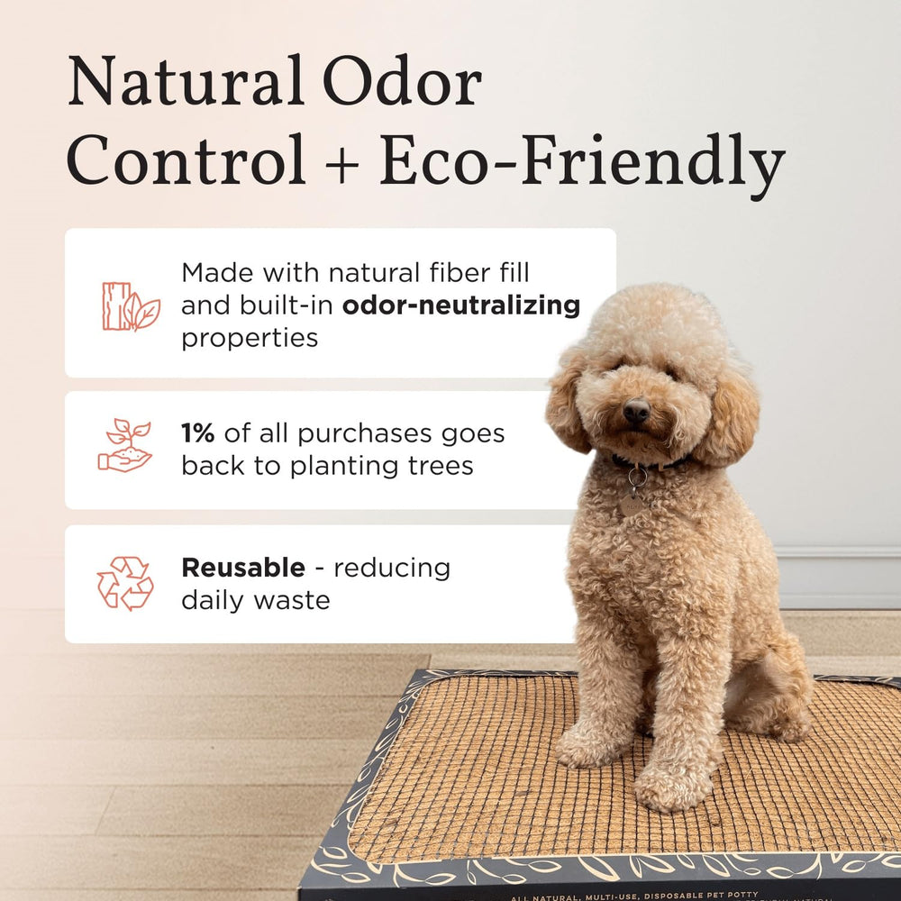 Bark Potty standard 24x16 for small dogs, ideal for apartment living.