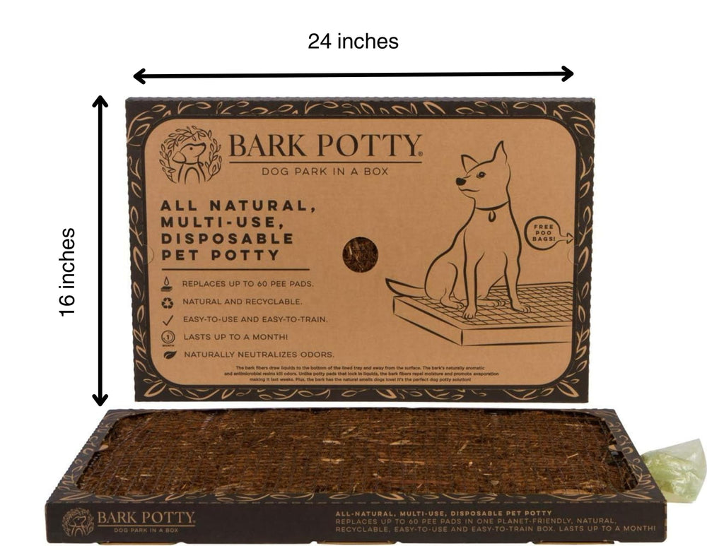 Bark Potty standard size tray in action, perfect for small to medium dogs.