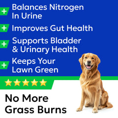 BARK&SPARK digestion chews highlighting natural enzymes support