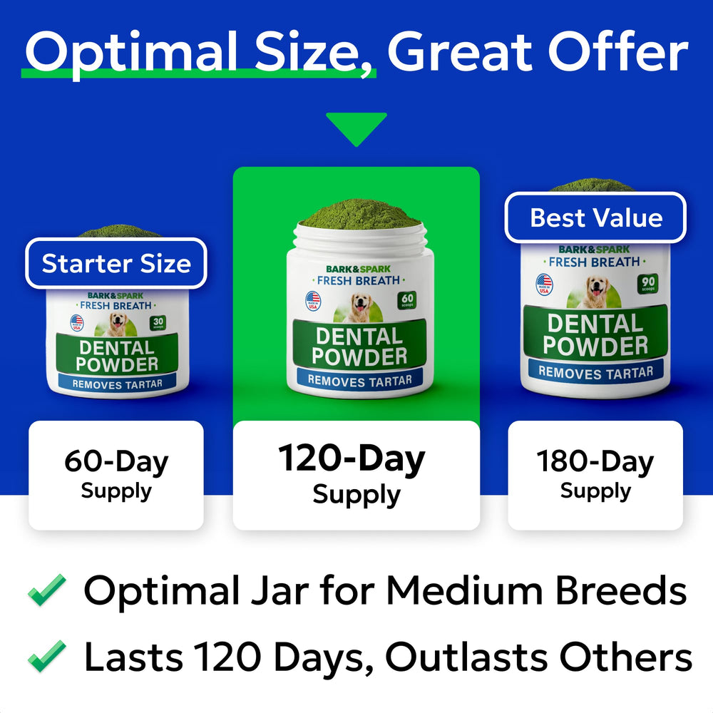 Green powder being scooped into dog food to support fresh breath.