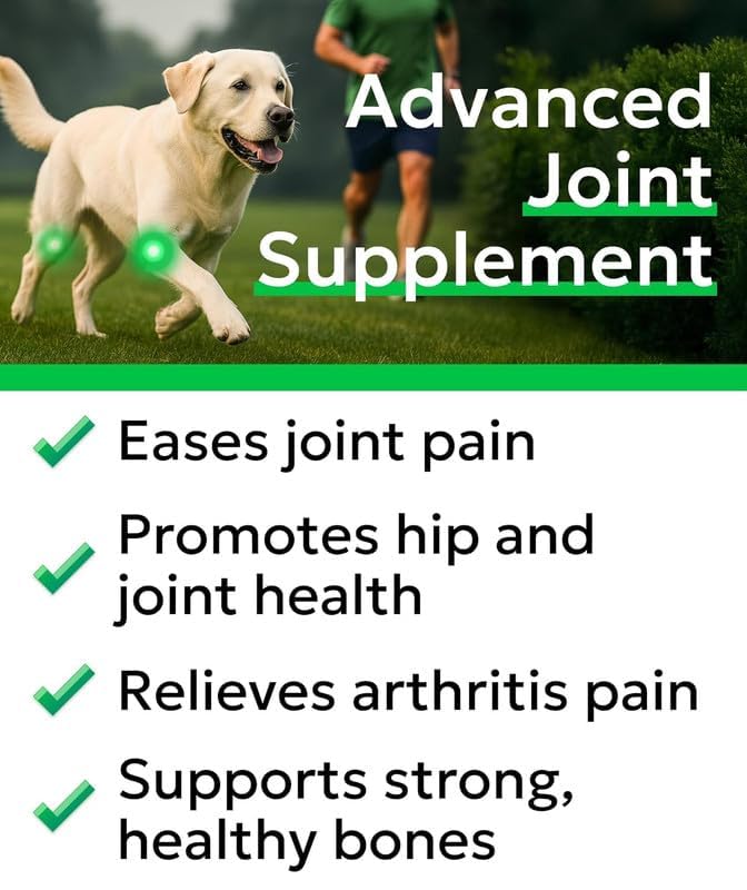 BARK&SPARK glucosamine chondroitin dog chew close-up showing tasty bacon-flavored treat.