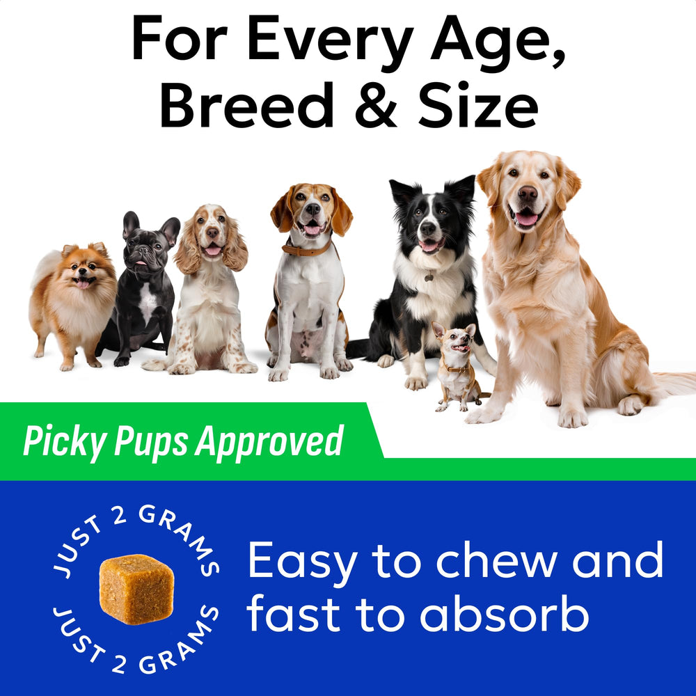 BARK&SPARK lawn protection reducing urine spots